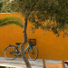 Despotiko Apartment Hotel & Suites