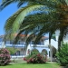 Olea Garden