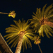 Palmon Bay Hotel and Spa
