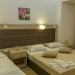 Dafni Plus
