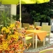 Boutique Lito