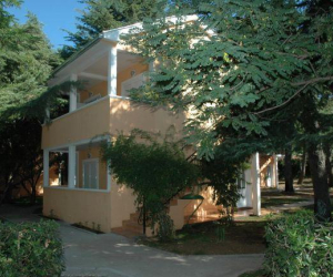 Vila Park, apartmani
