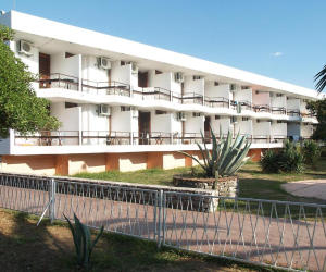 Kamelija