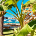 MAKO Sea & Suites