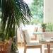 Grecotel Pallas Athena