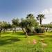 Calamos Beach Family Club