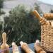 Anasa Luxury Resort