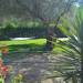 Ionian Breeze Studios