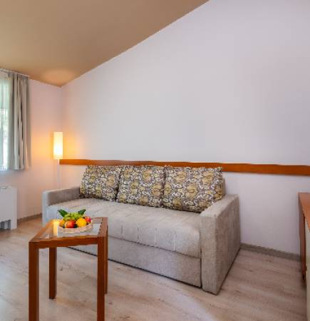 Vila pored bazena