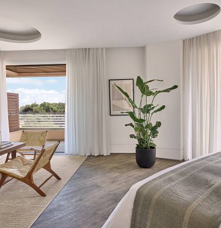 Deluxe Suite